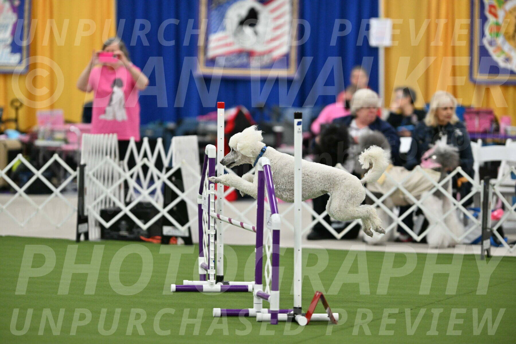 MAS-EX-STD-20-Inch_6985