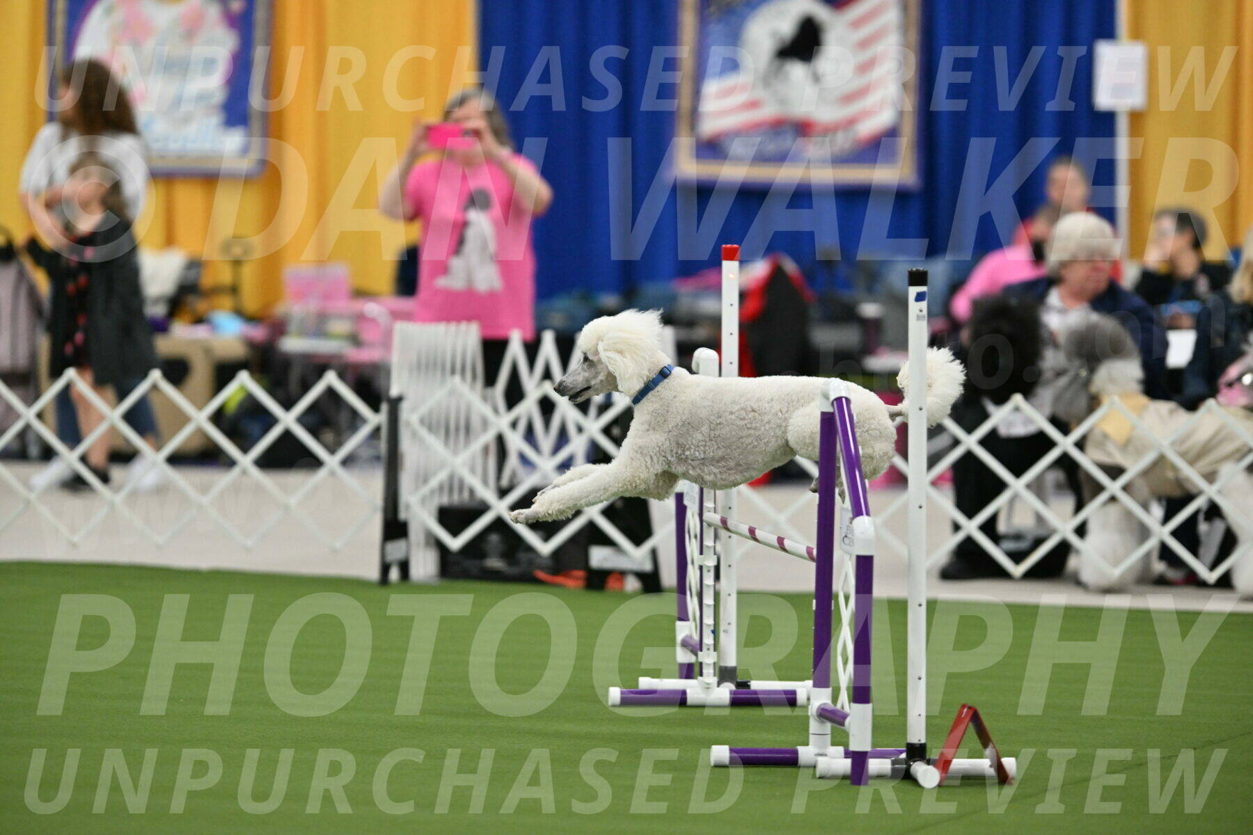 MAS-EX-STD-20-Inch_6987