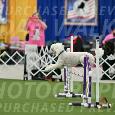 MAS-EX-STD-20-Inch_6987