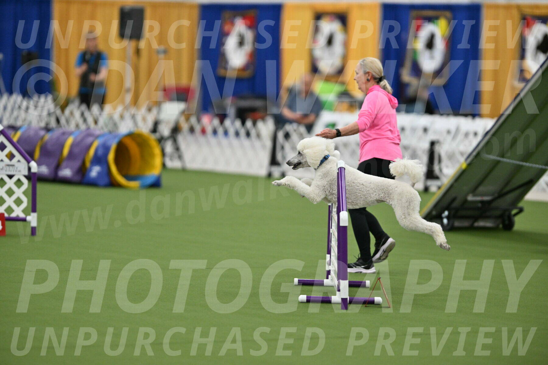 MAS-EX-STD-20-Inch_6991