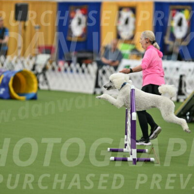 MAS-EX-STD-20-Inch_6991