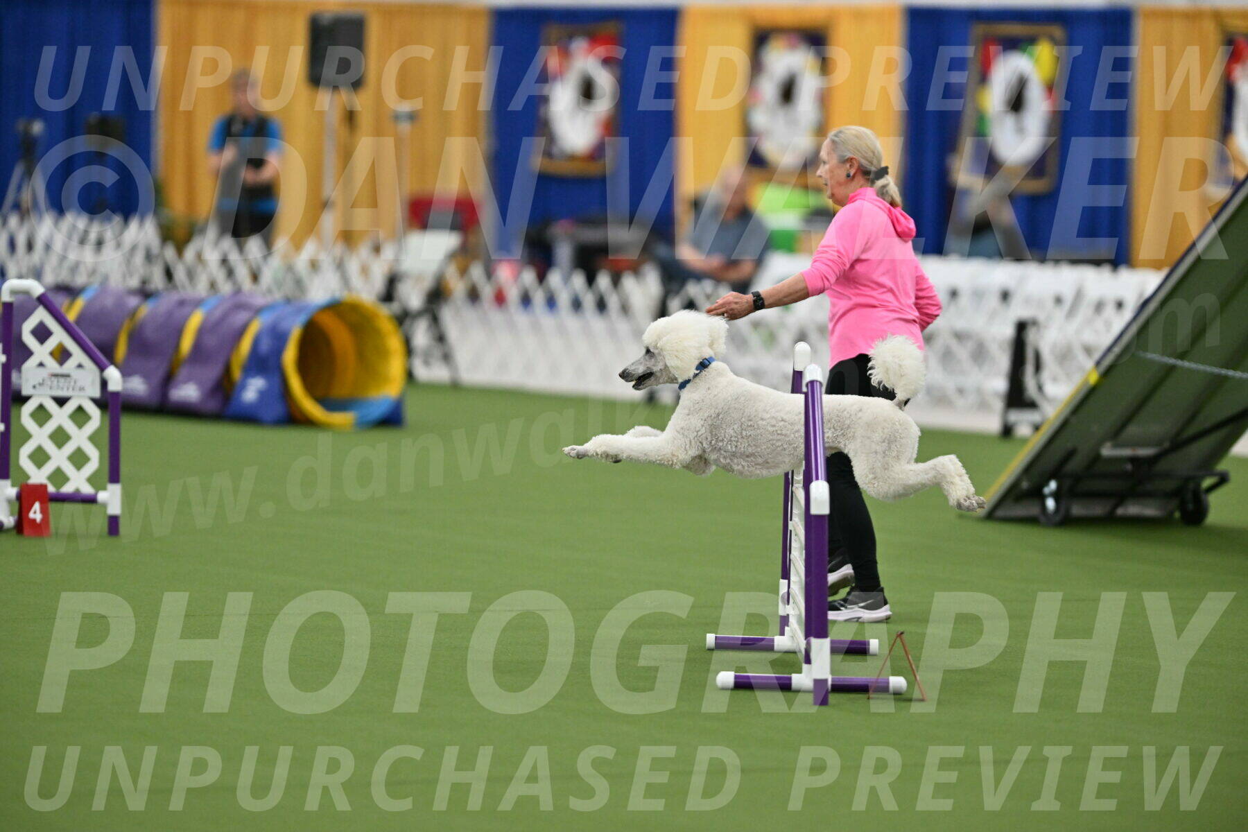 MAS-EX-STD-20-Inch_6992