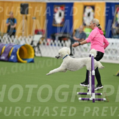 MAS-EX-STD-20-Inch_6993