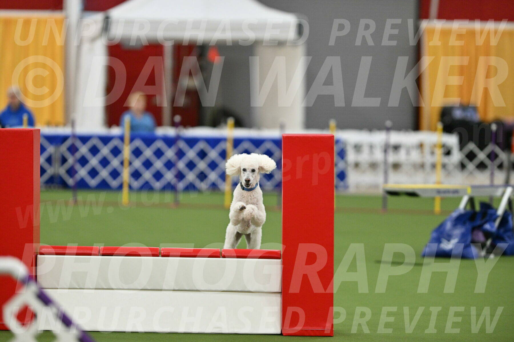 MAS-EX-STD-20-Inch_6995