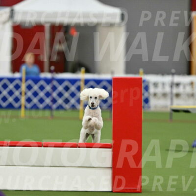 MAS-EX-STD-20-Inch_6995