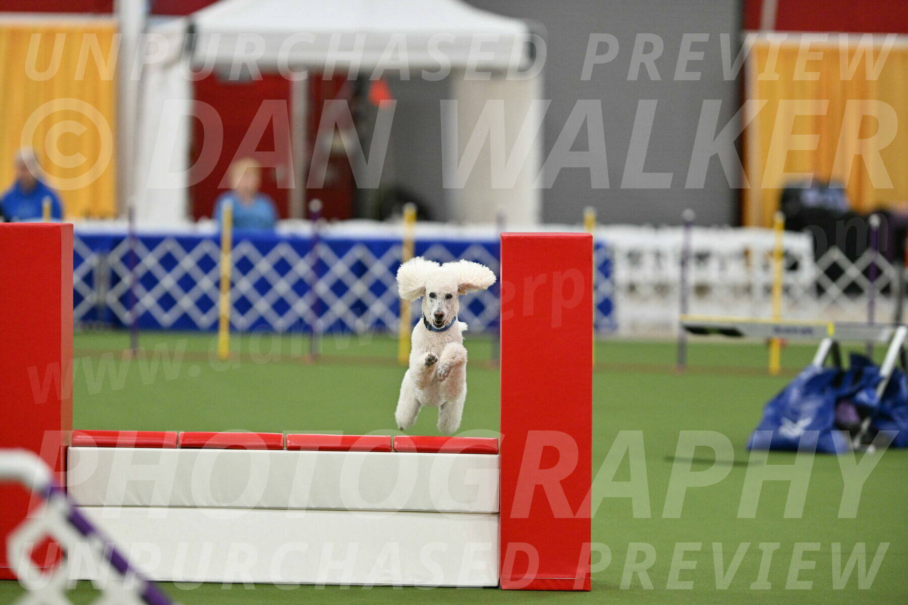 MAS-EX-STD-20-Inch_6996