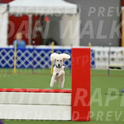 MAS-EX-STD-20-Inch_6996