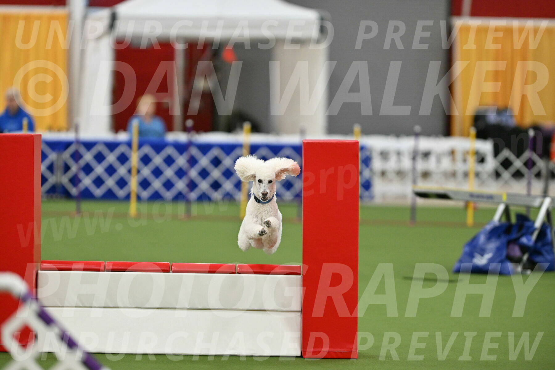 MAS-EX-STD-20-Inch_6997