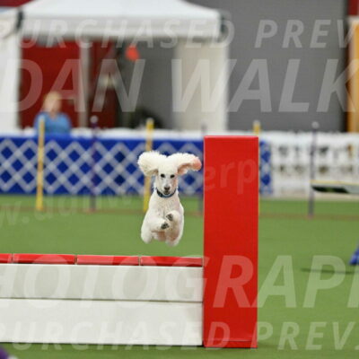 MAS-EX-STD-20-Inch_6997