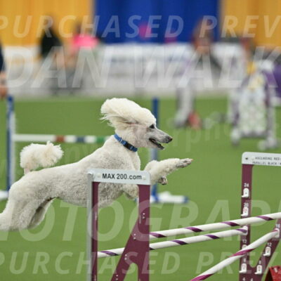 MAS-EX-STD-20-Inch_6998