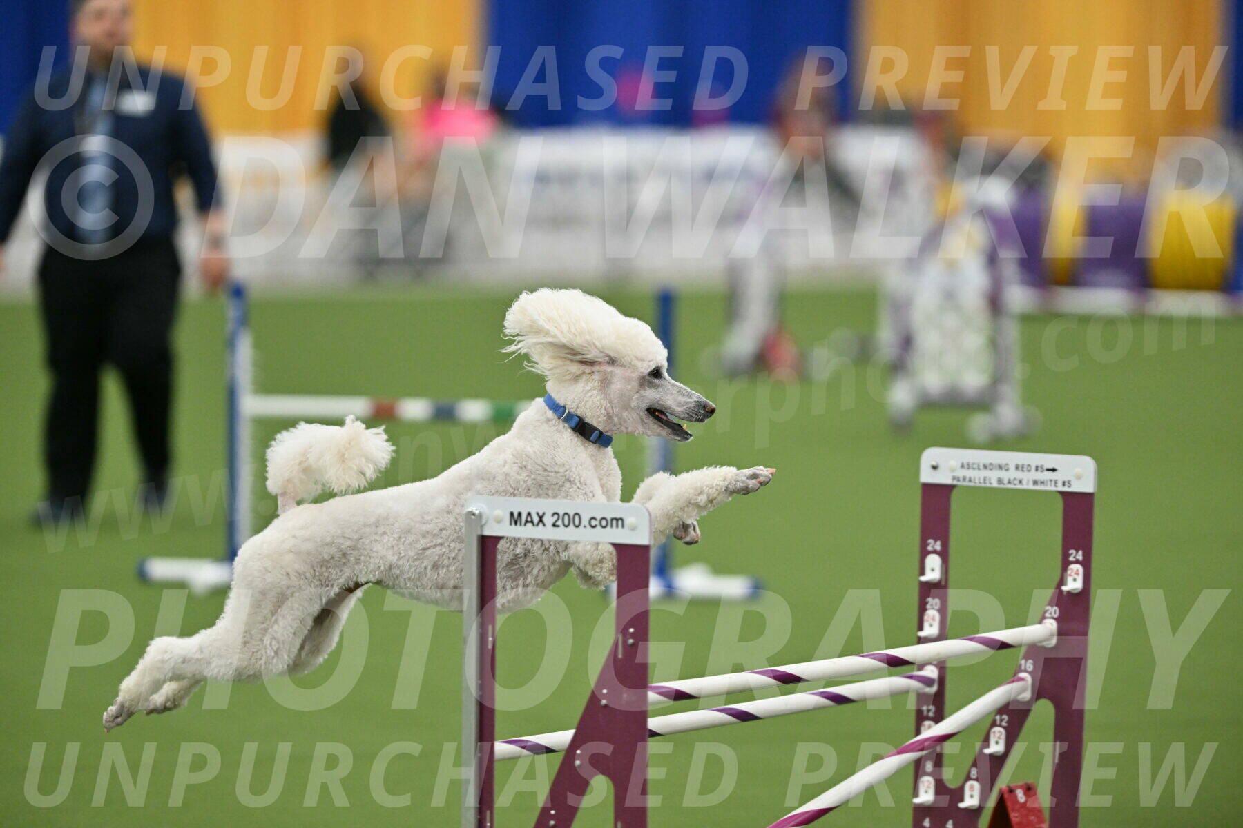 MAS-EX-STD-20-Inch_6998