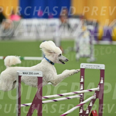 MAS-EX-STD-20-Inch_6999