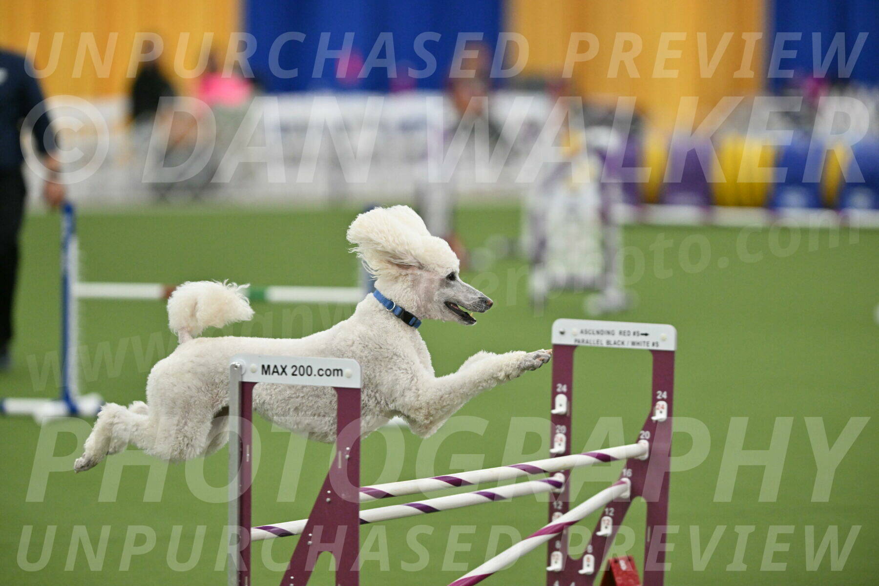 MAS-EX-STD-20-Inch_6999