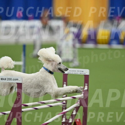 MAS-EX-STD-20-Inch_7000