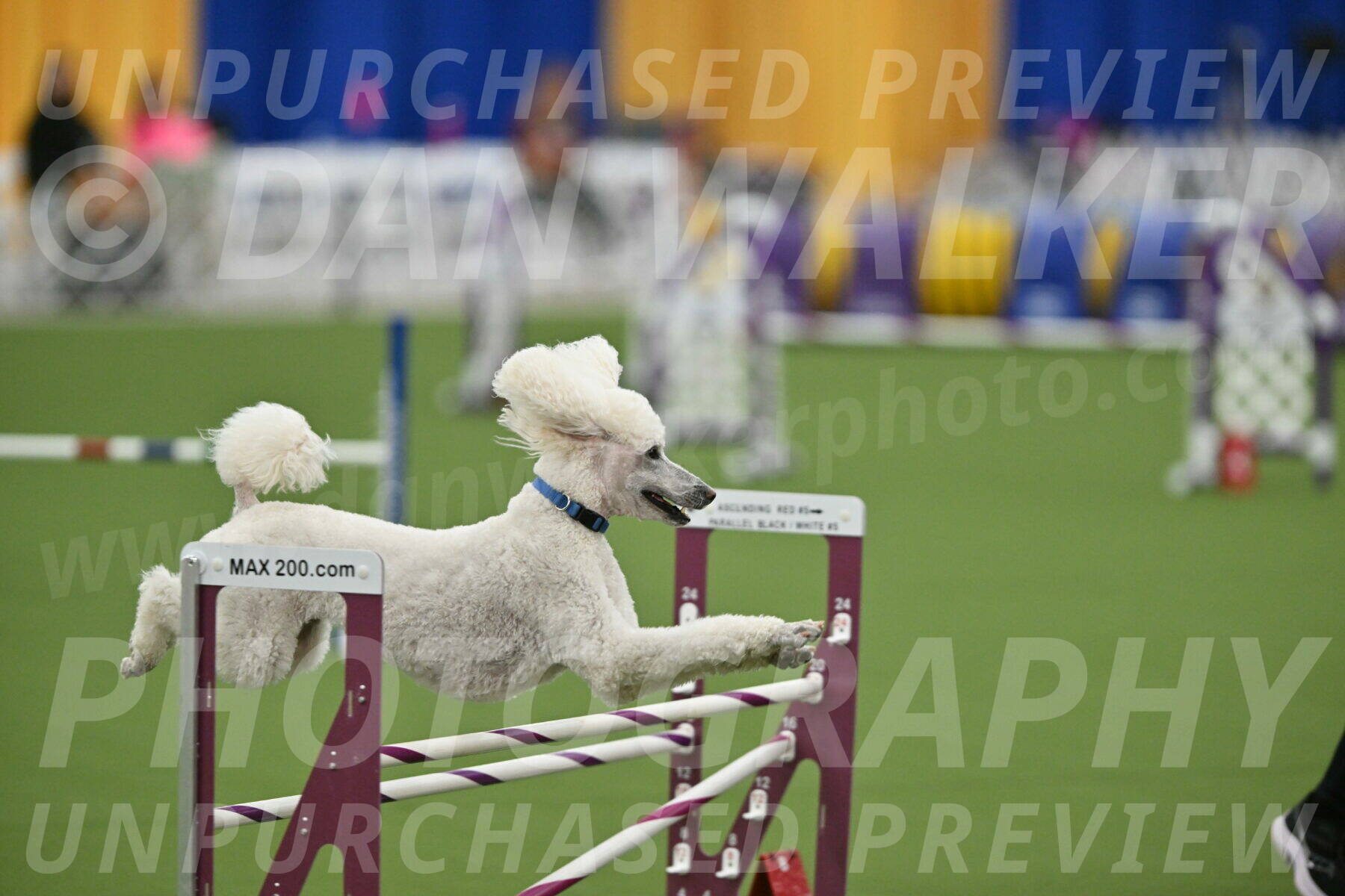 MAS-EX-STD-20-Inch_7000