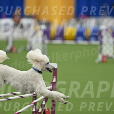 MAS-EX-STD-20-Inch_7001