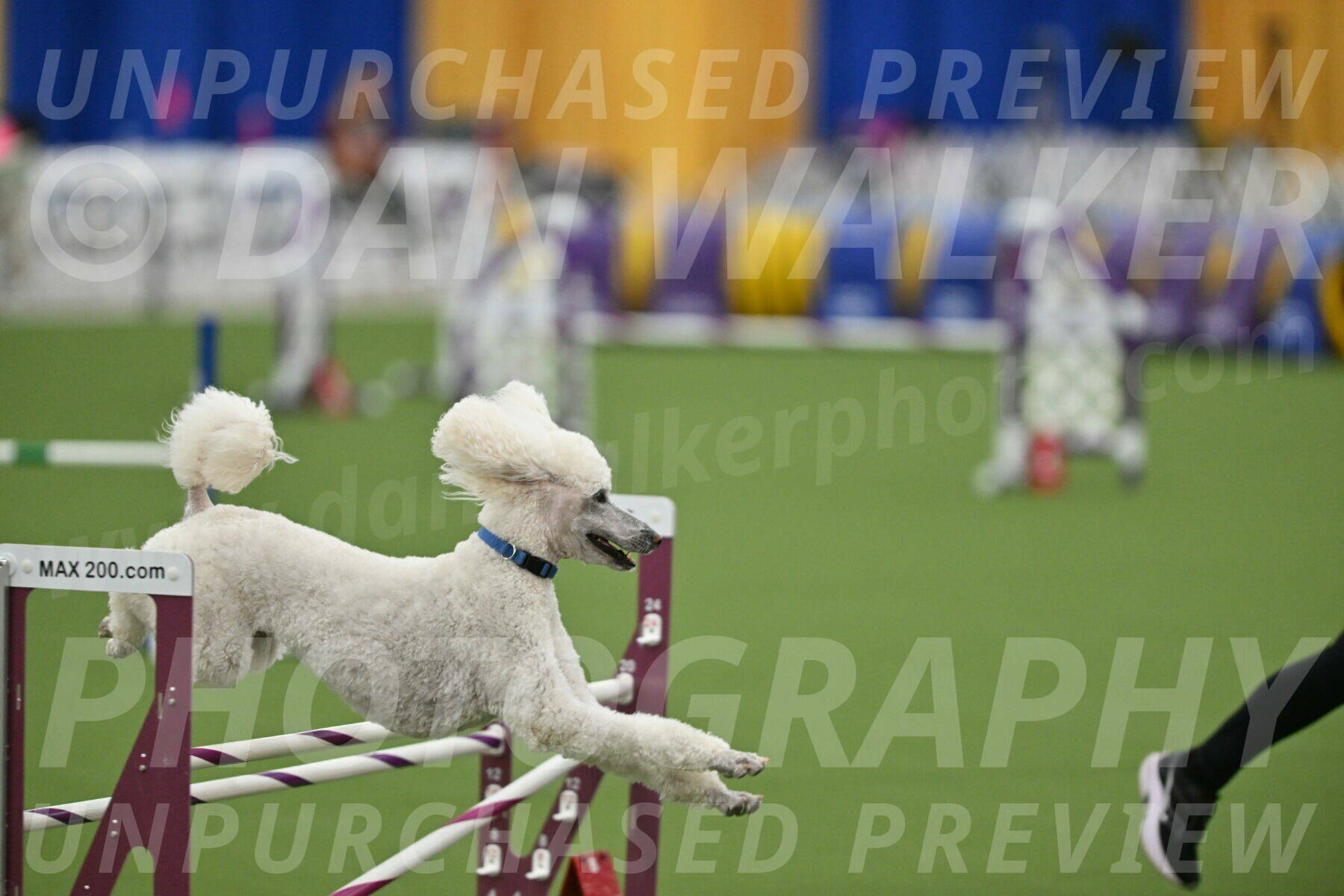 MAS-EX-STD-20-Inch_7001