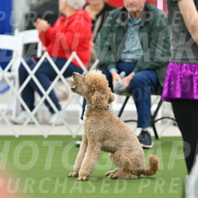 MAS-EX-STD-20-Inch_7017