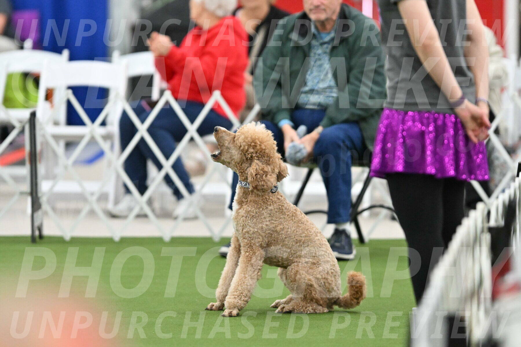 MAS-EX-STD-20-Inch_7017