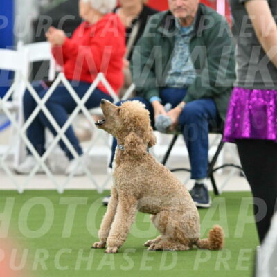 MAS-EX-STD-20-Inch_7018