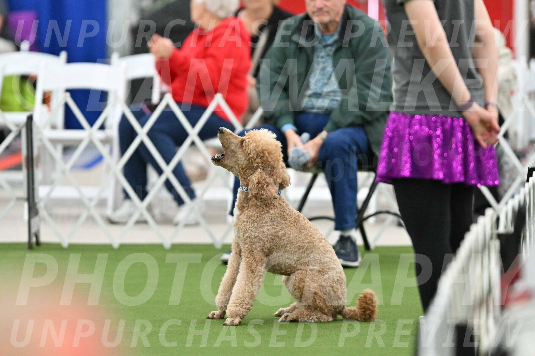 MAS-EX-STD-20-Inch_7018