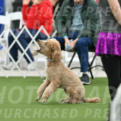 MAS-EX-STD-20-Inch_7029