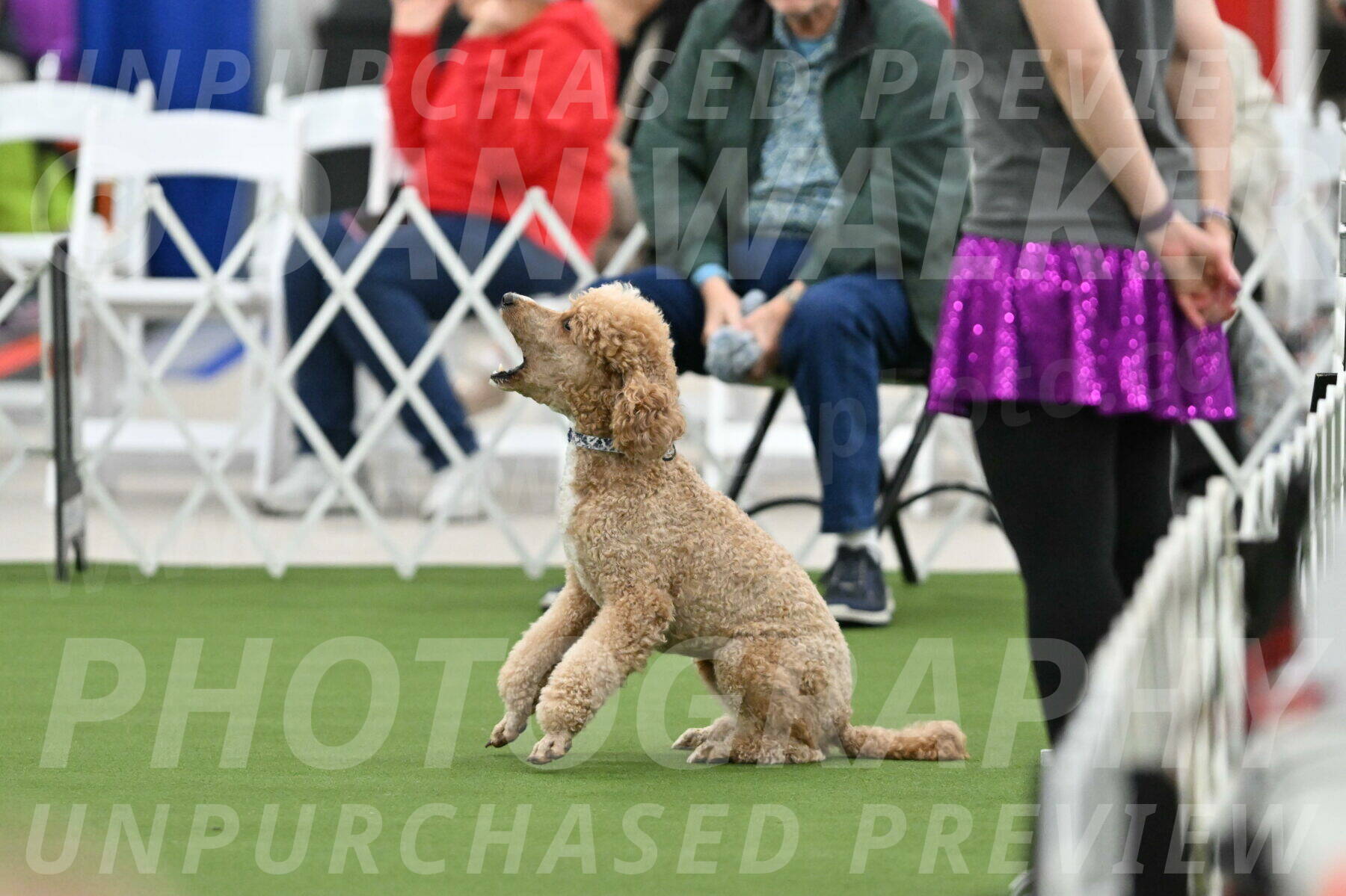 MAS-EX-STD-20-Inch_7029