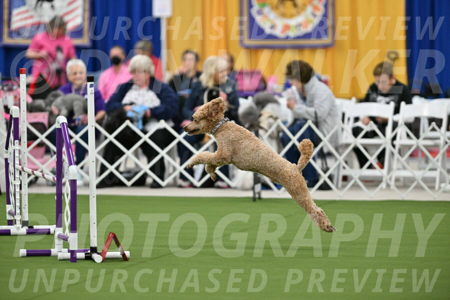 MAS-EX-STD-20-Inch_7033