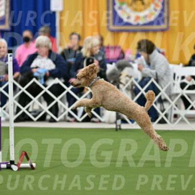 MAS-EX-STD-20-Inch_7033