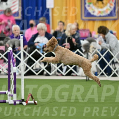 MAS-EX-STD-20-Inch_7034