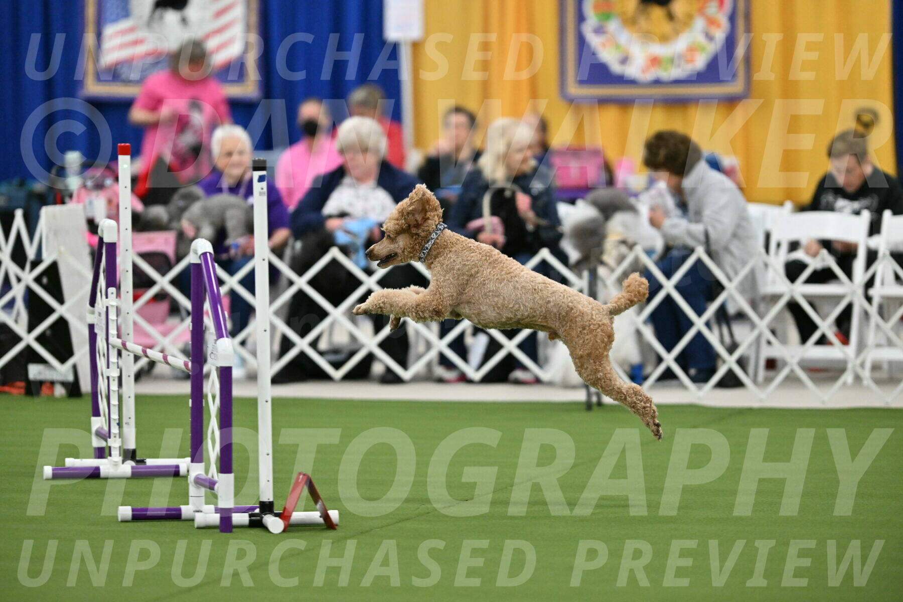 MAS-EX-STD-20-Inch_7034