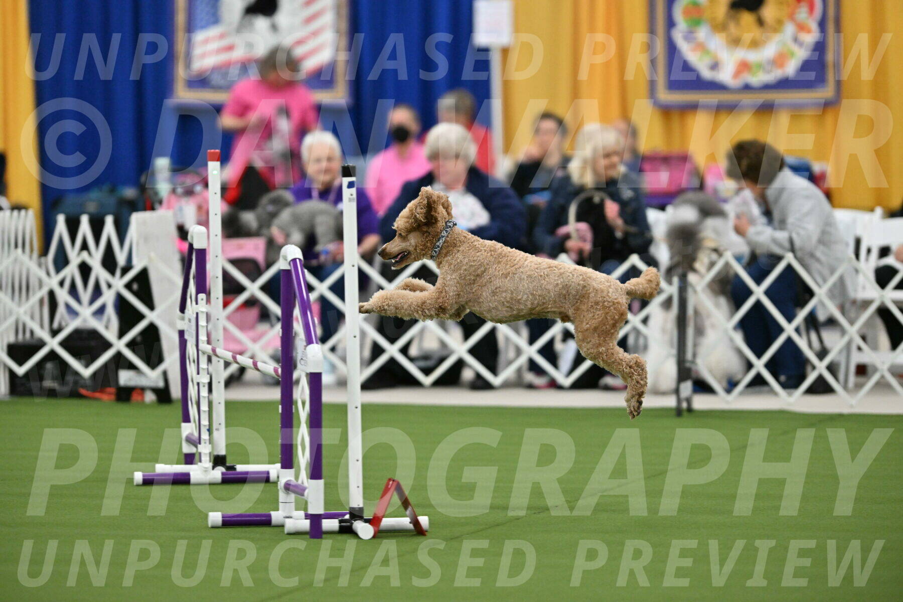 MAS-EX-STD-20-Inch_7035