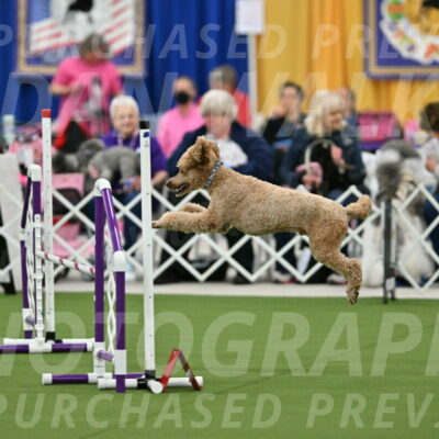 MAS-EX-STD-20-Inch_7035