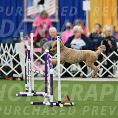 MAS-EX-STD-20-Inch_7036