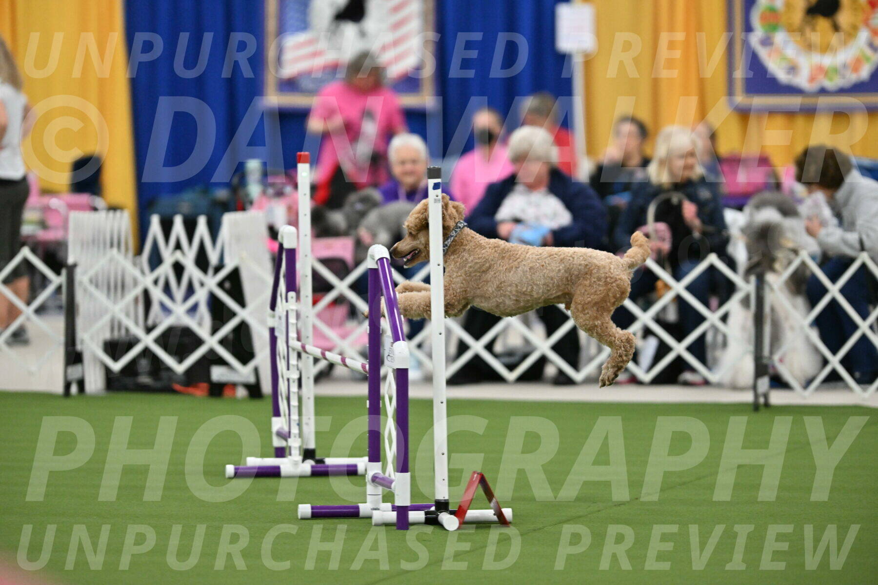 MAS-EX-STD-20-Inch_7036