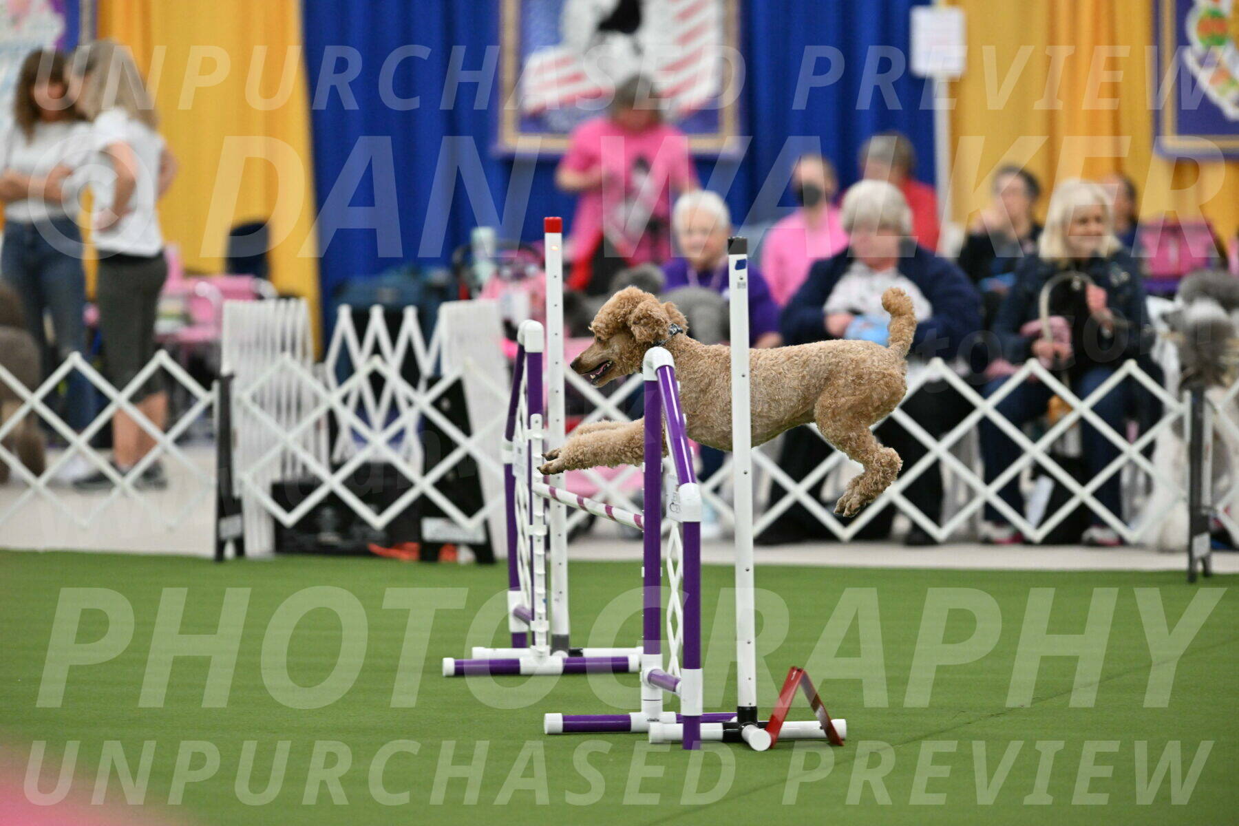 MAS-EX-STD-20-Inch_7037