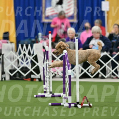 MAS-EX-STD-20-Inch_7037