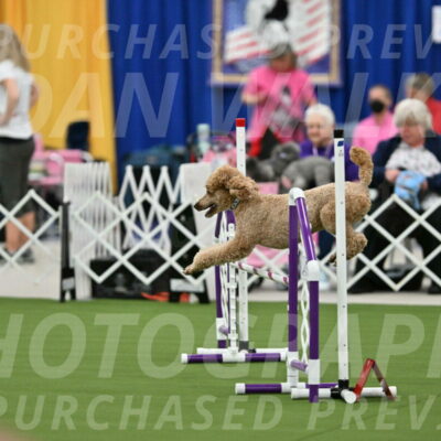 MAS-EX-STD-20-Inch_7038