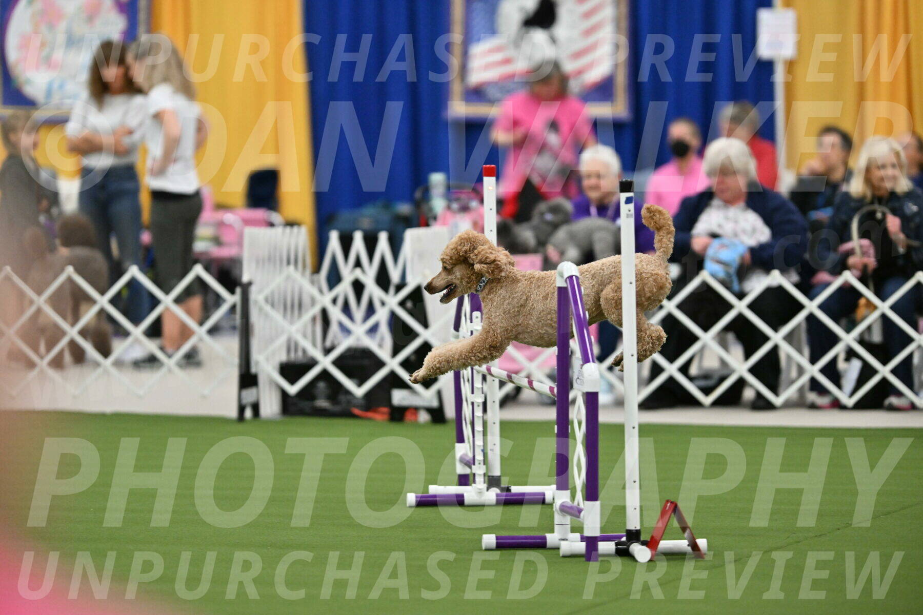 MAS-EX-STD-20-Inch_7038