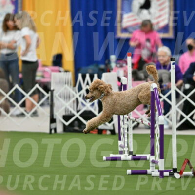 MAS-EX-STD-20-Inch_7039