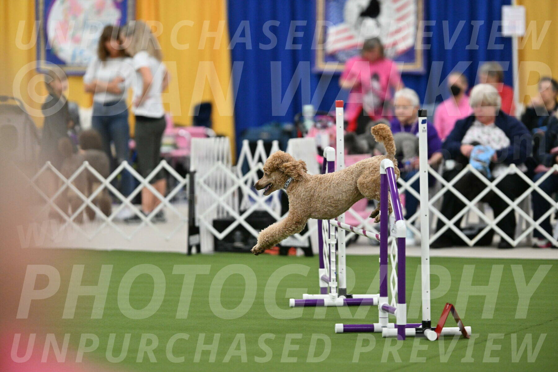 MAS-EX-STD-20-Inch_7039