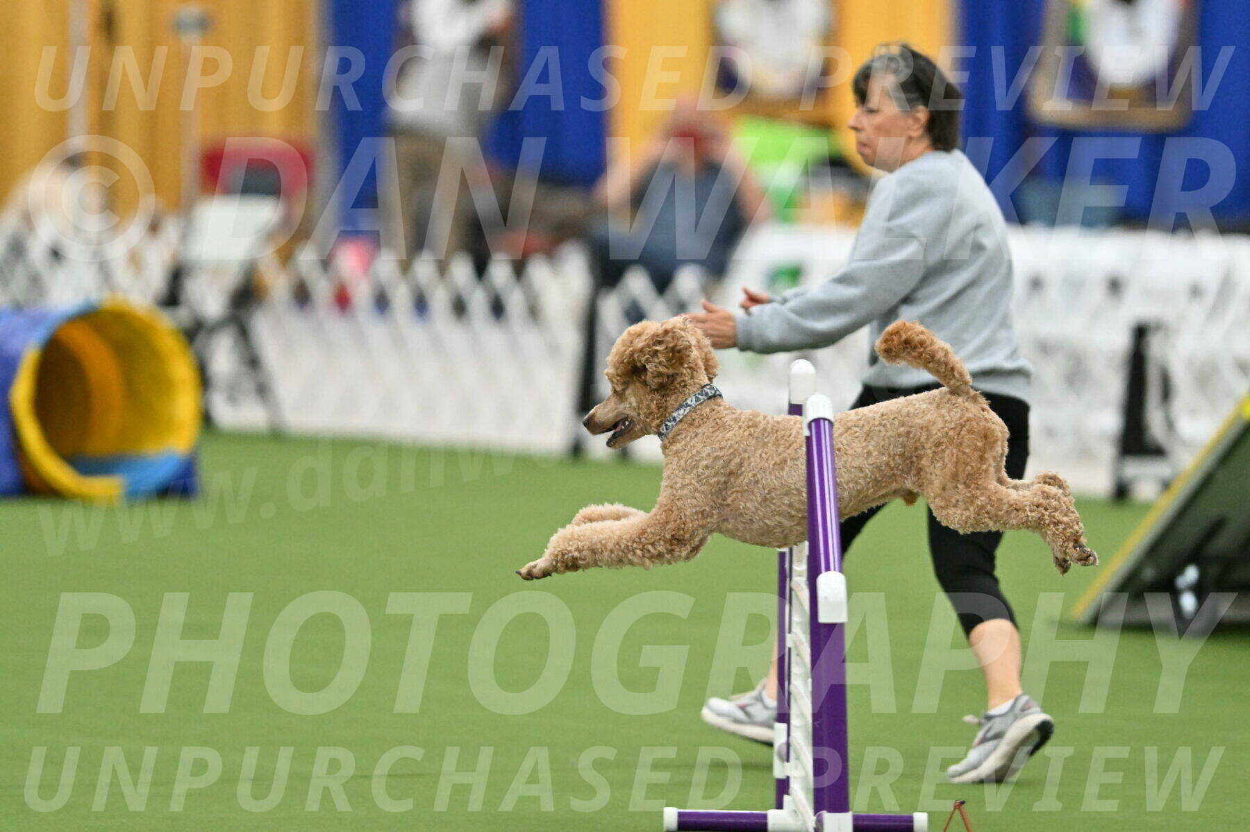 MAS-EX-STD-20-Inch_7040