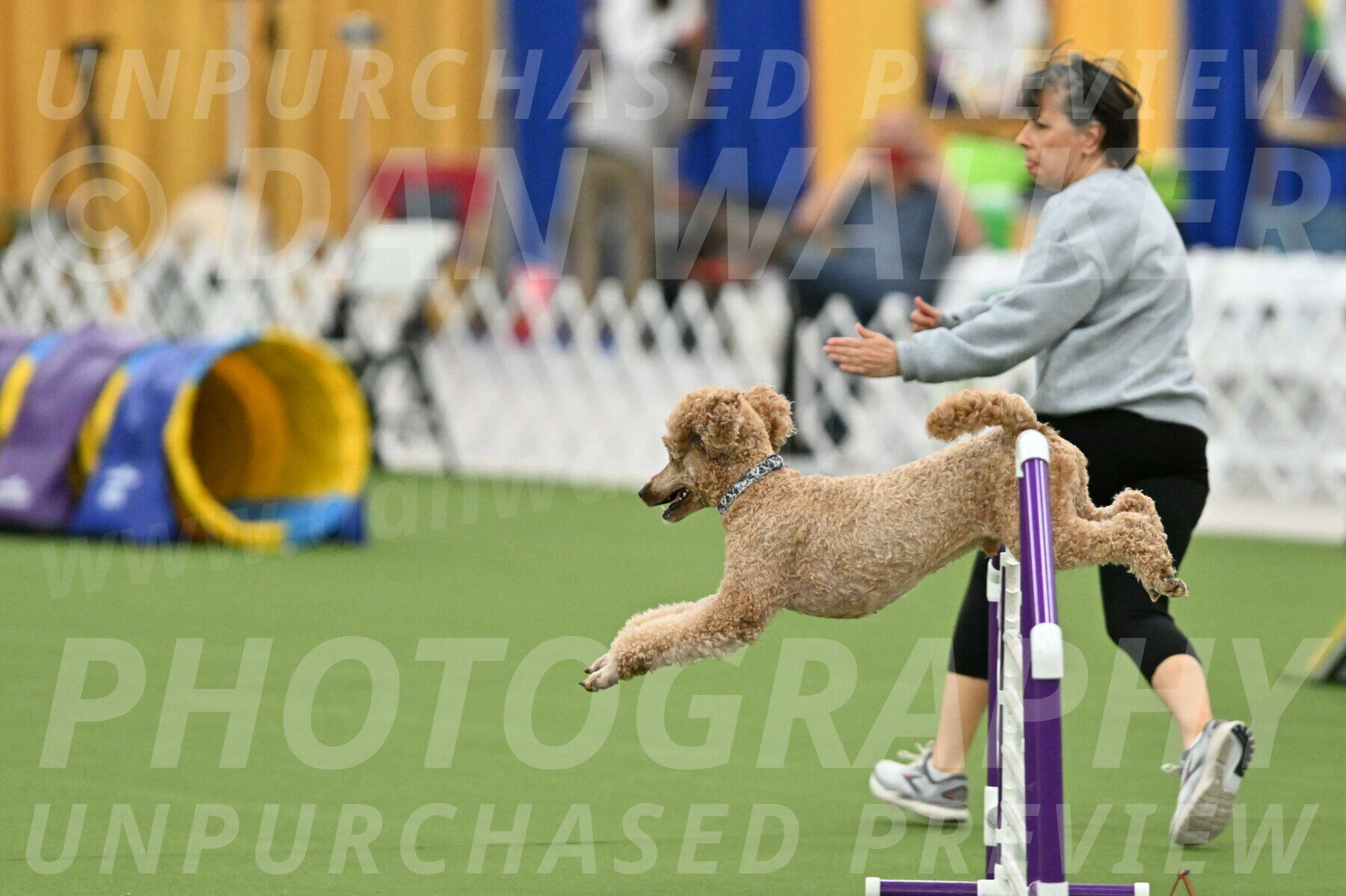 MAS-EX-STD-20-Inch_7041