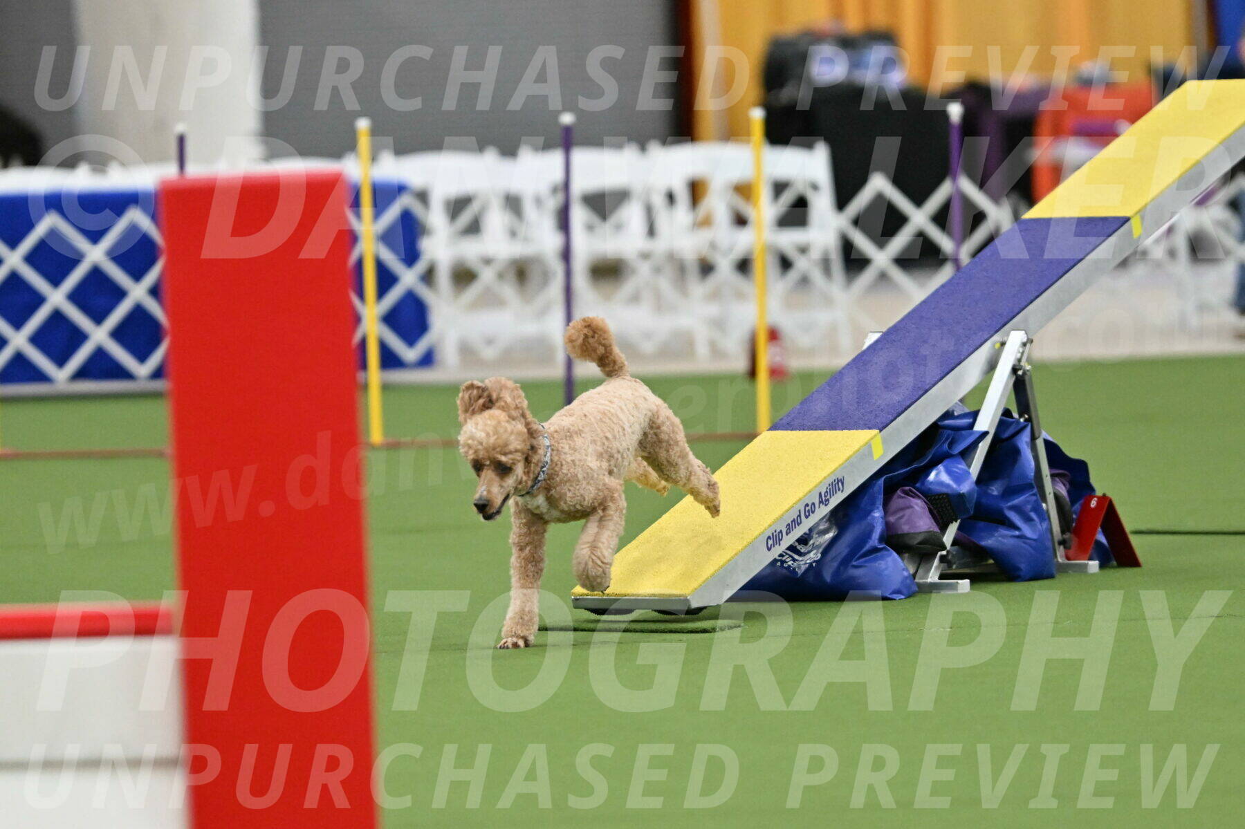 MAS-EX-STD-20-Inch_7046