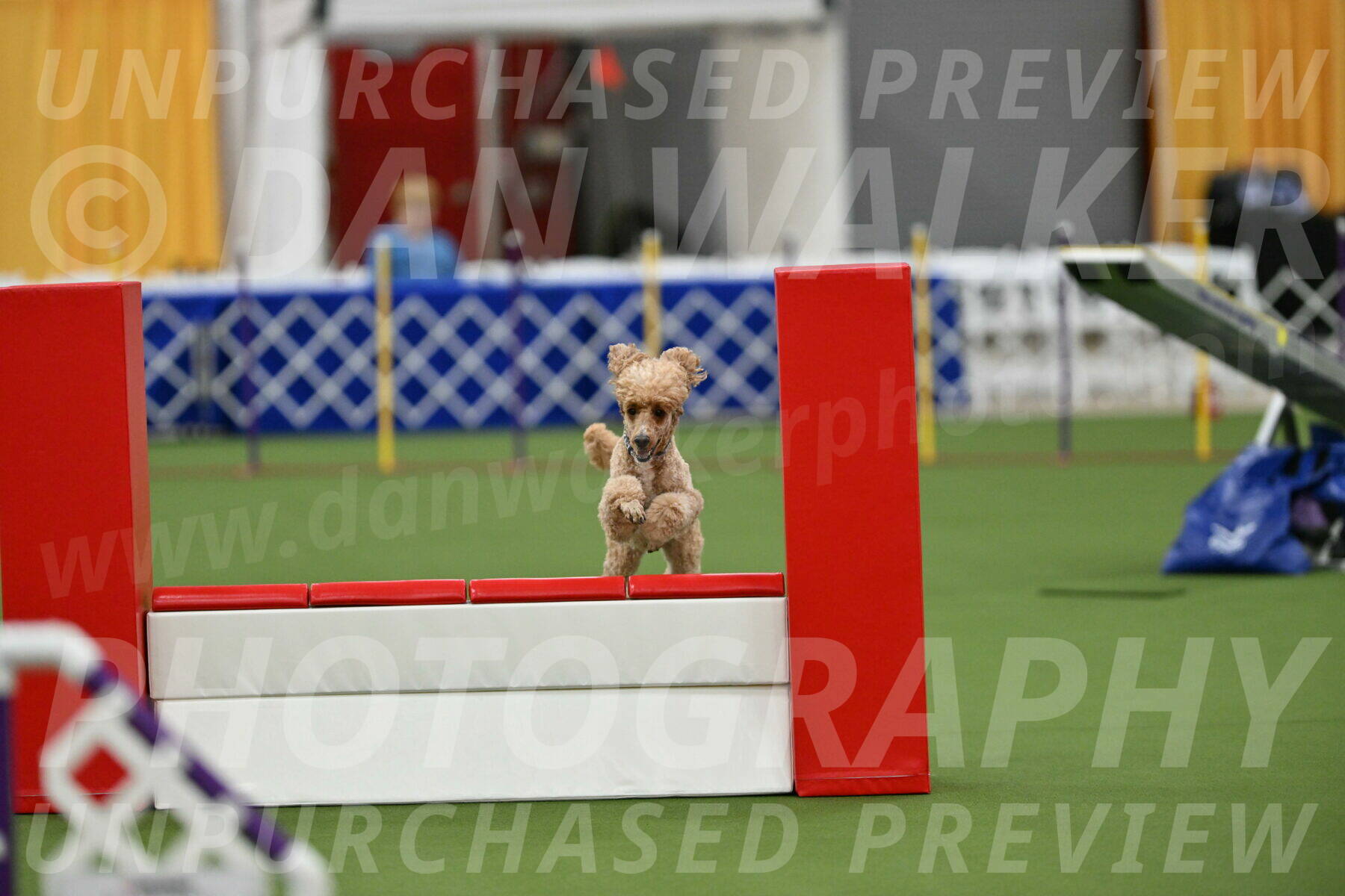 MAS-EX-STD-20-Inch_7048