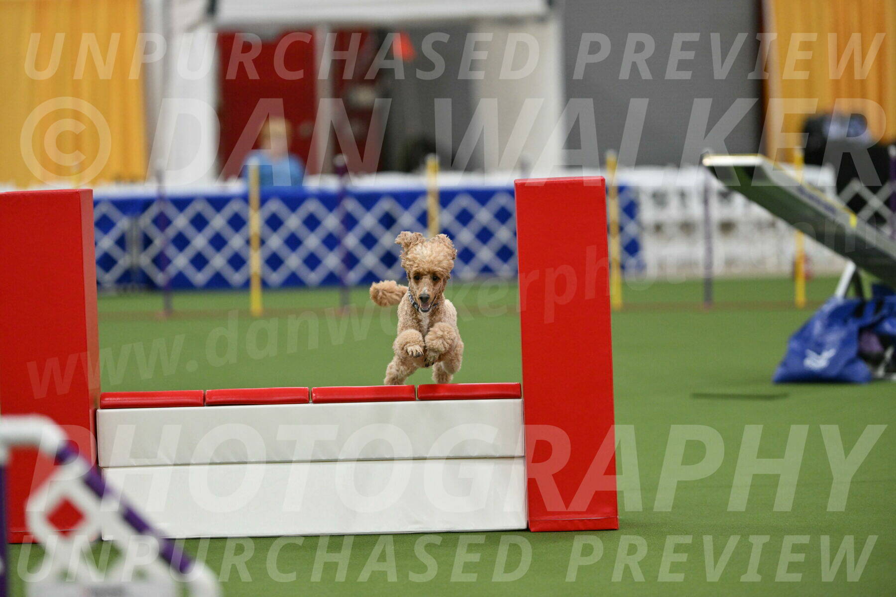 MAS-EX-STD-20-Inch_7049