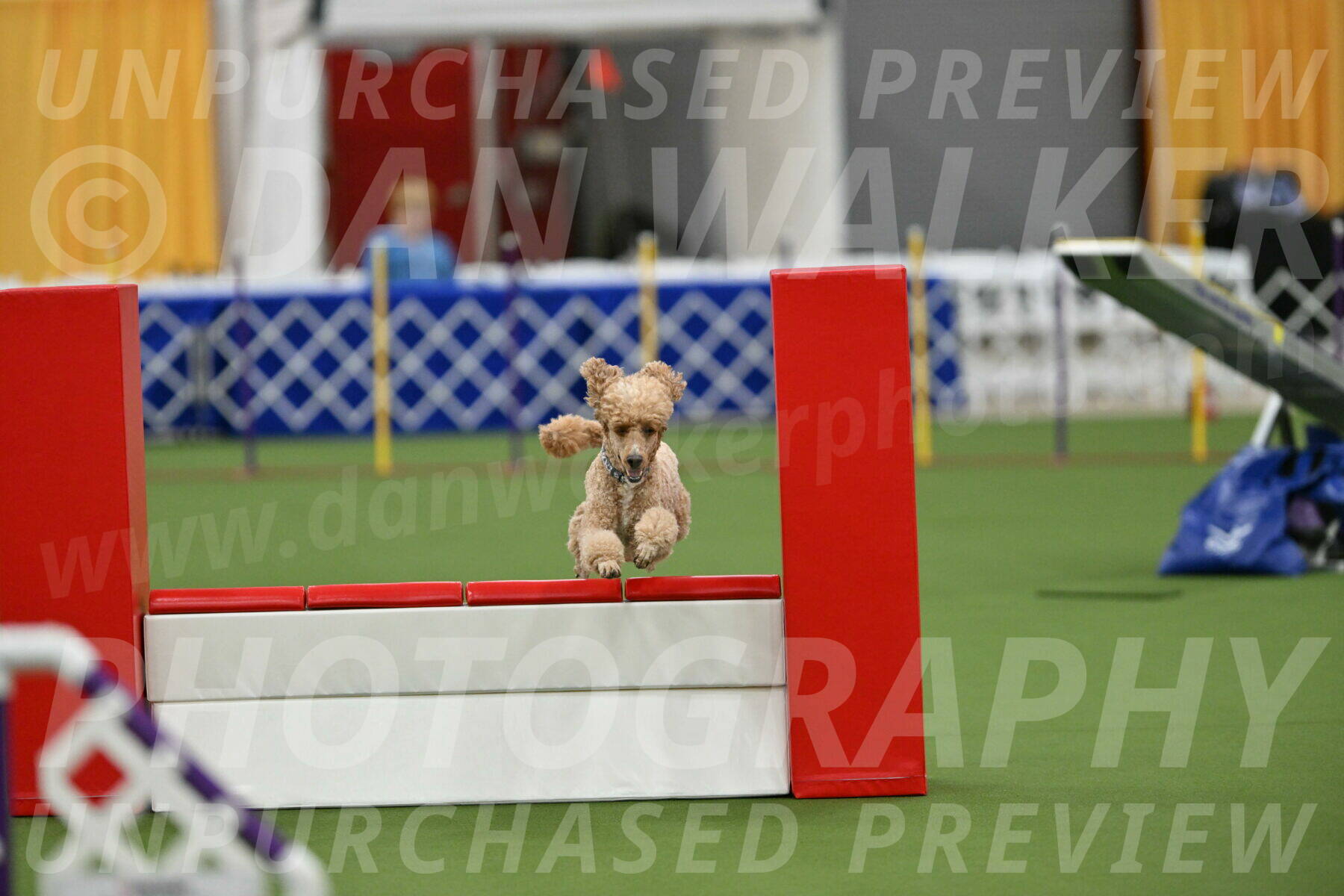 MAS-EX-STD-20-Inch_7050