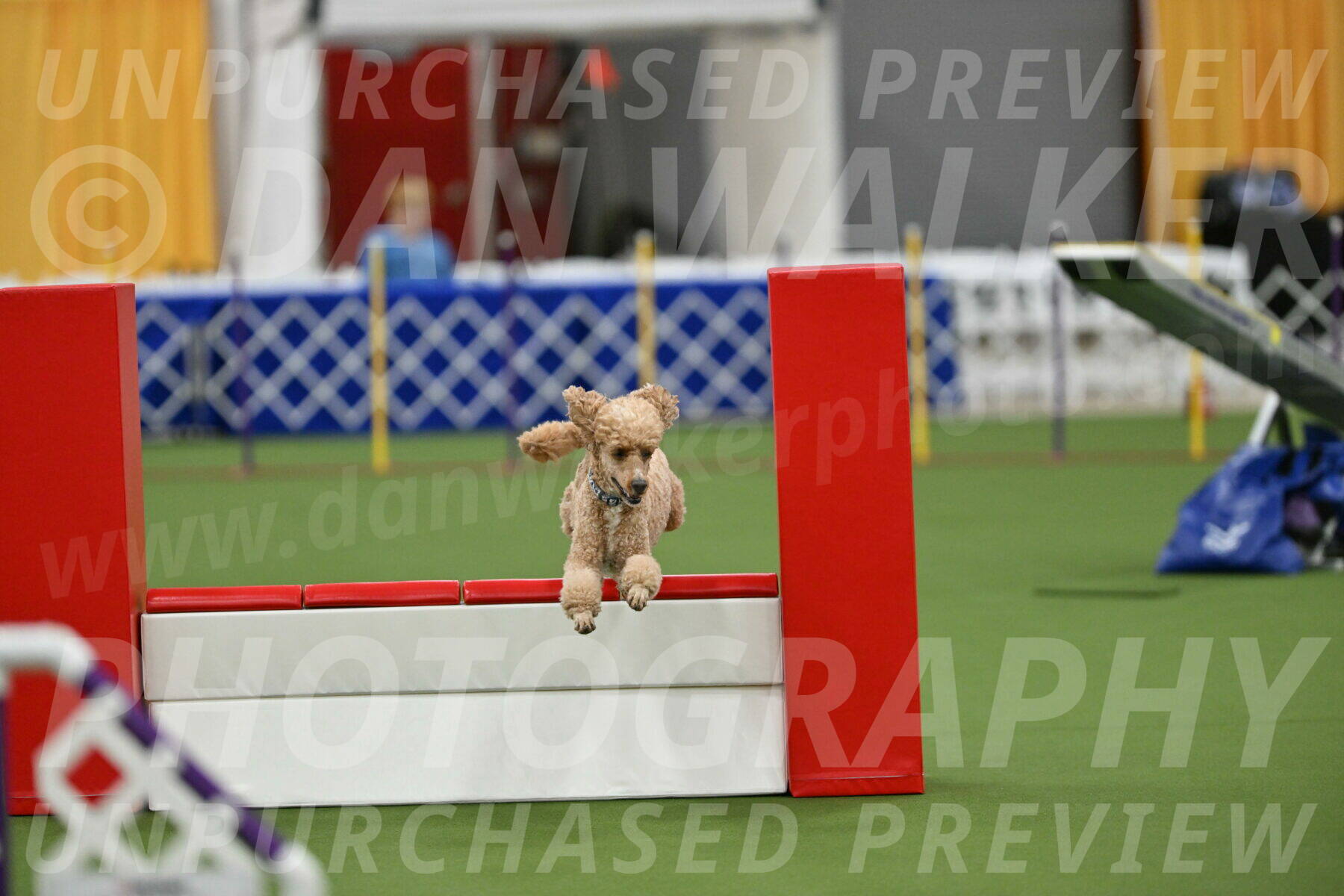 MAS-EX-STD-20-Inch_7051