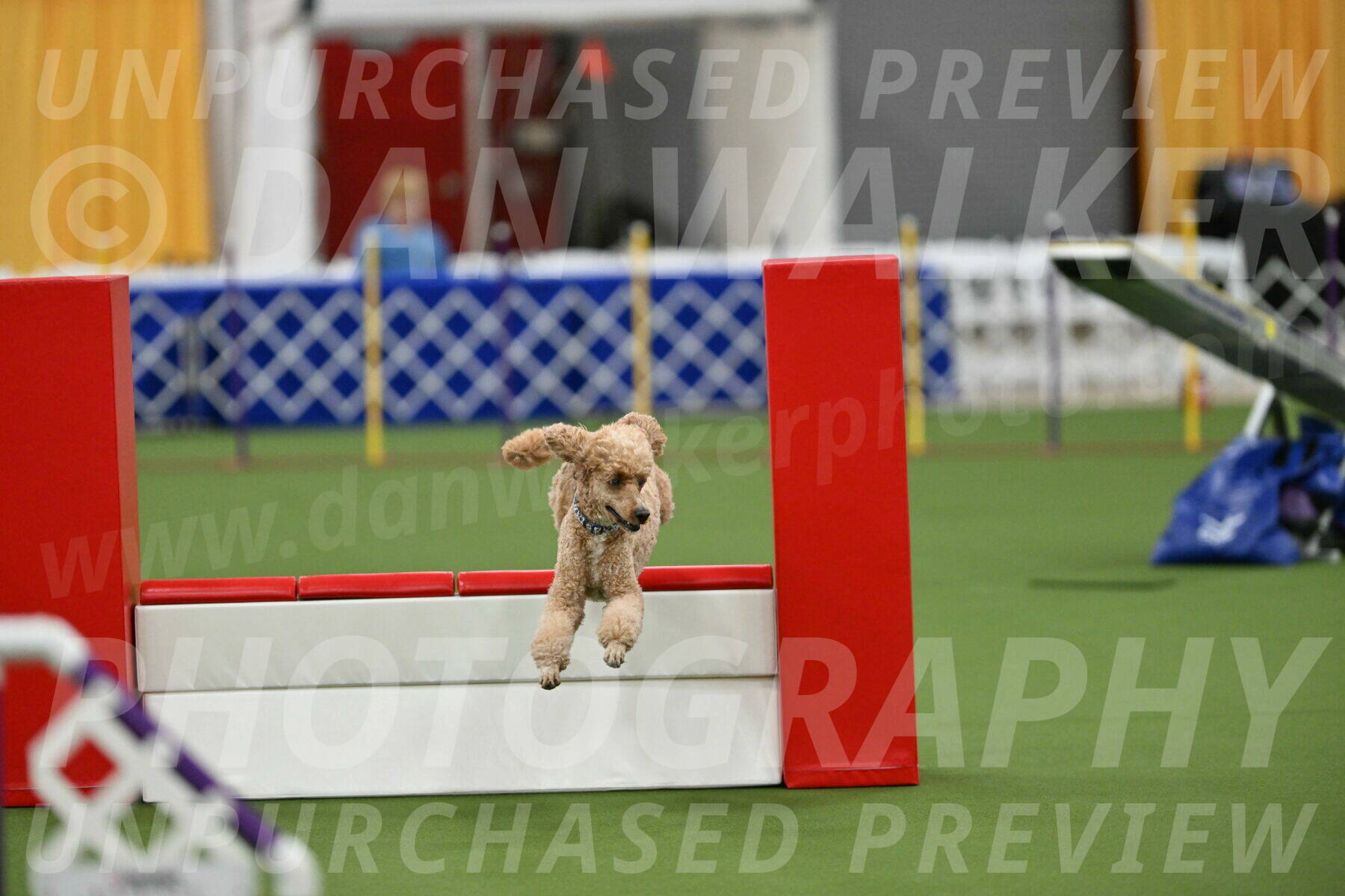 MAS-EX-STD-20-Inch_7052