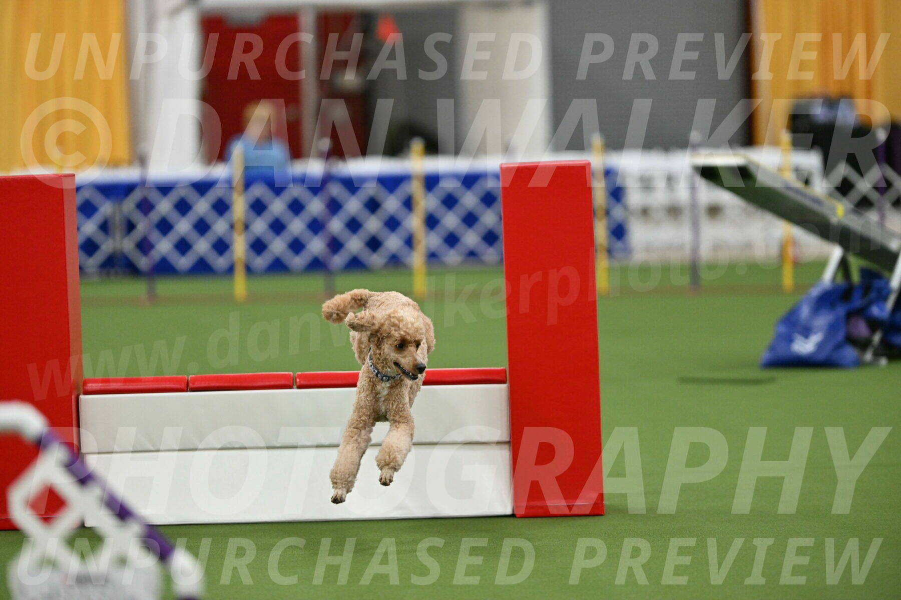 MAS-EX-STD-20-Inch_7053